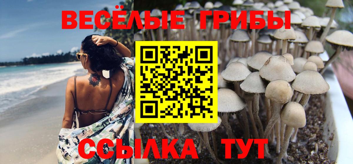 Галлюциногенные грибы мухоморы  Псилоцибиновые грибы мухоморы  Вход с VPN  купить  сайты  Мурманск 