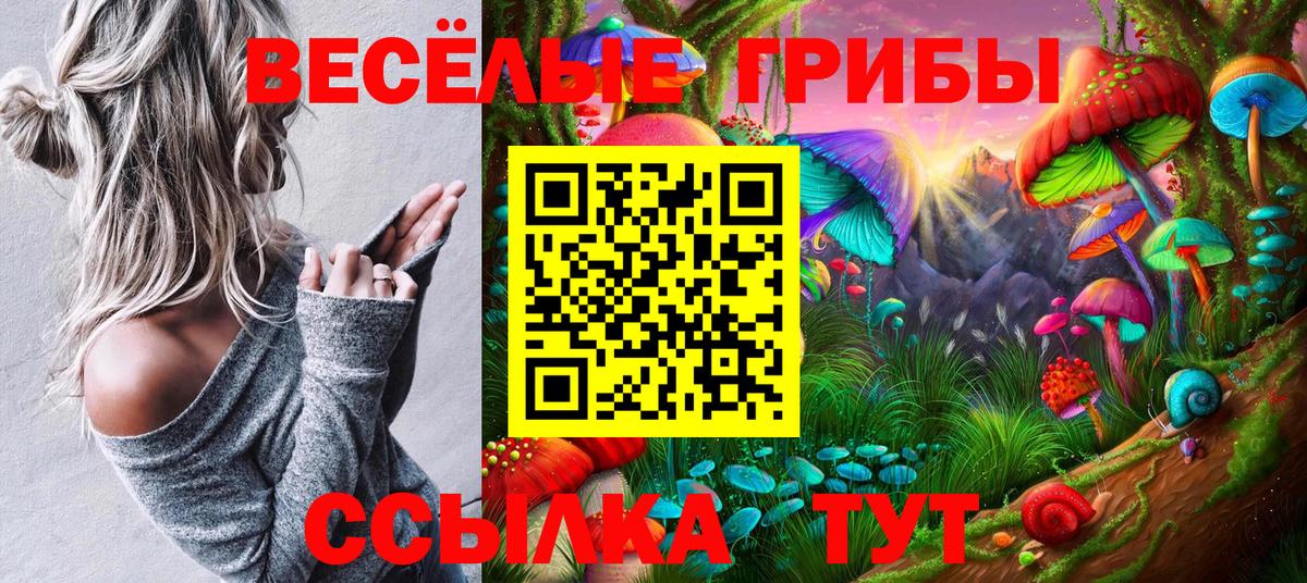 Галлюциногенные грибы прущие грибы Мурманск